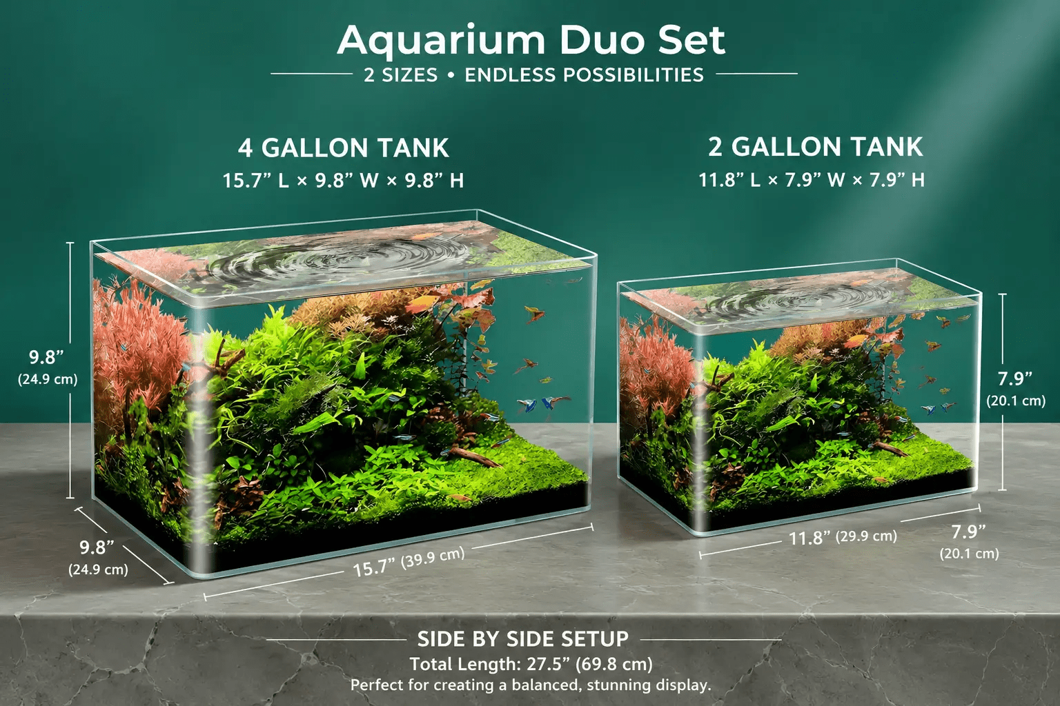The Modern Rimless Aquarium Duo