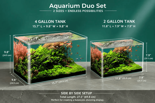 The Modern Rimless Aquarium Duo