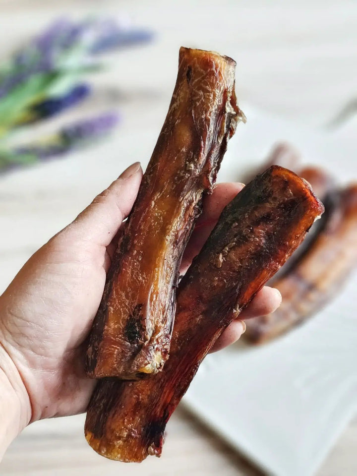 Beef pizzle sticks, dried brown; several short sticks held in hand