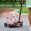 Charger l'image dans la visionneuse de la galerie, The Sunday Stroll Pet Wagon by Pet Zen, pink four-wheeled pet wagon with a small white dog.
