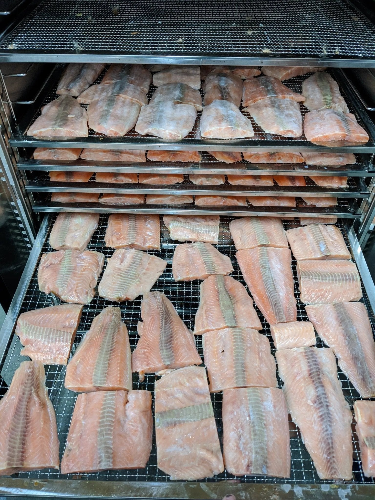 Salmon fillet portions on metal racks in a smoker, Naked Beasts