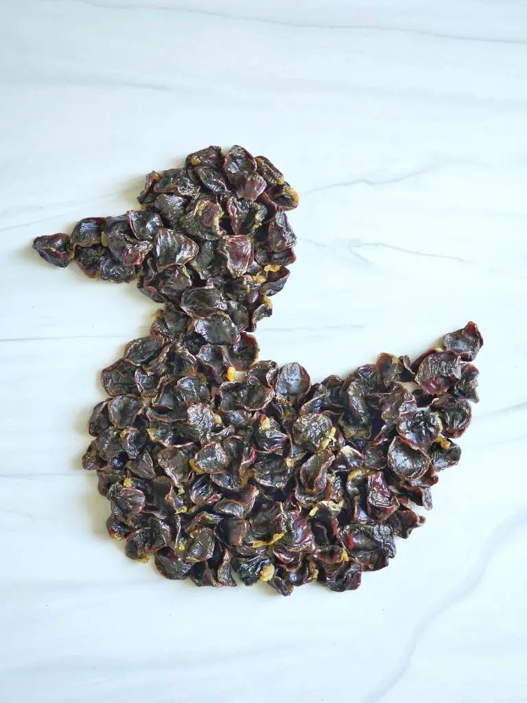 Duck gizzards ABF; dried dark brown pieces, bite-sized chunks