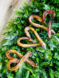 Load image into Gallery viewer, Naked Beasts Beef Pizzle Sticks and Loops, Limited Edition dog chews, dried brown on leafy greenery
