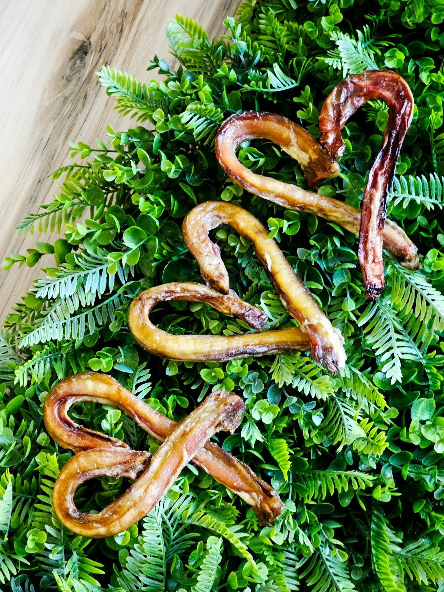 Naked Beasts Beef Pizzle Sticks and Loops, Limited Edition dog chews, dried brown on leafy greenery