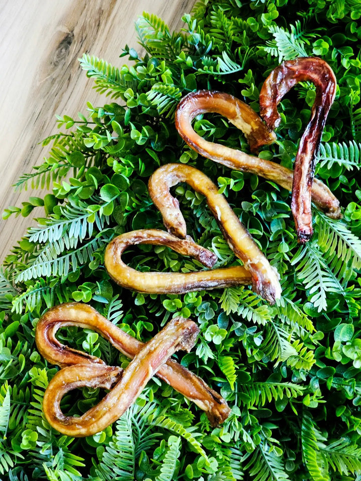 Naked Beasts Beef Pizzle Sticks and Loops, Limited Edition dog chews, dried brown on leafy greenery