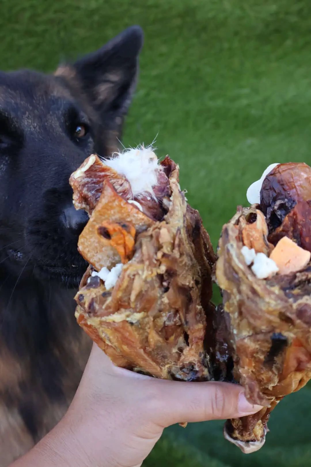 Chicken Frames (Chunked) dog chews, two brown meat chunks held by a hand beside a black dog