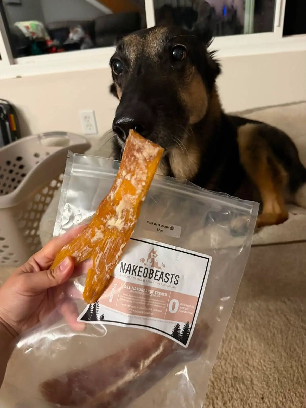 Beef Backstraps small-animal treat by Naked Beasts; orange jerky strip with white fat in a clear package