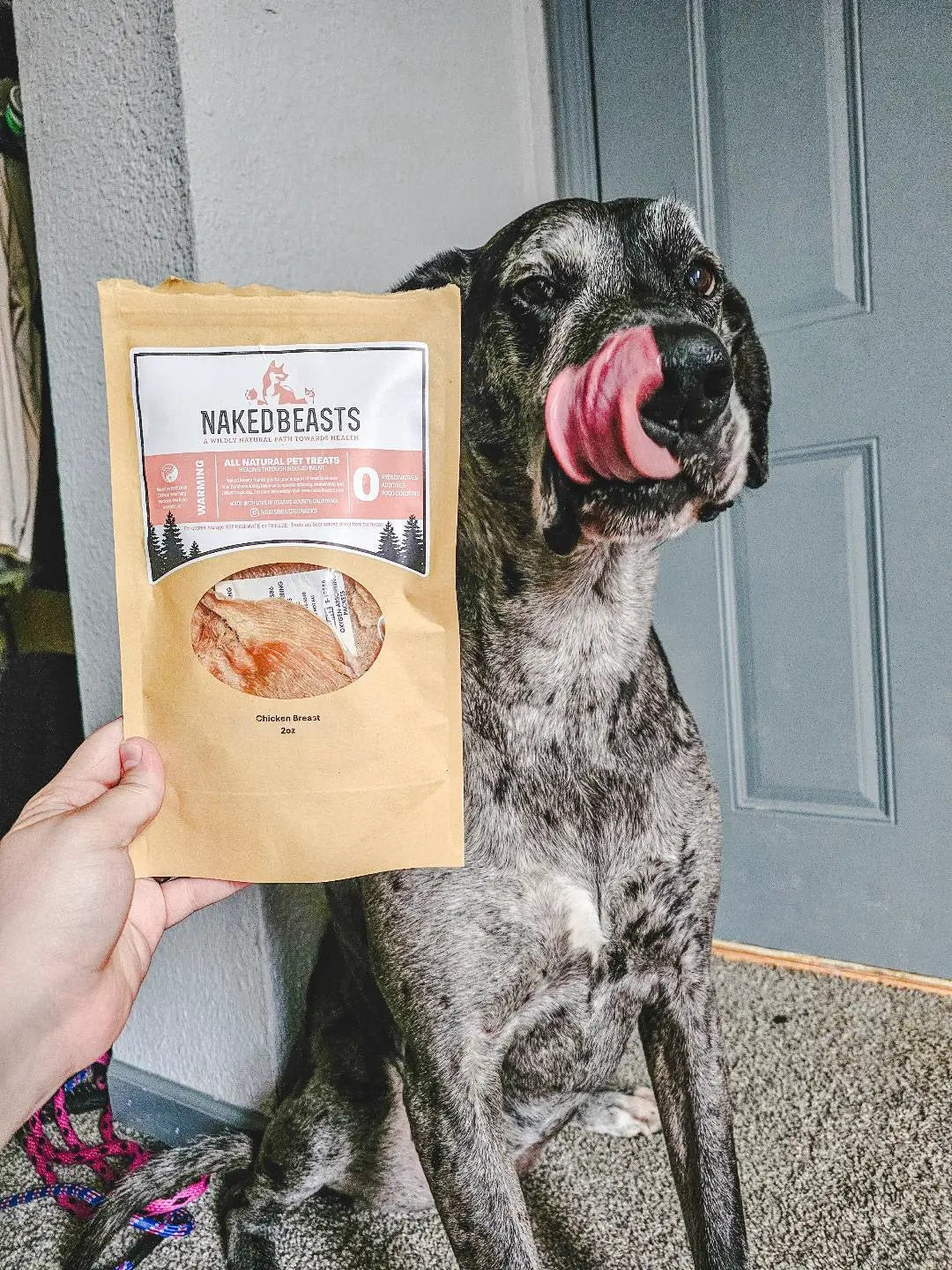Naked Beasts Chicken Breast (Fat Trimmed) Thin Cut dog treats, package held beside a dog