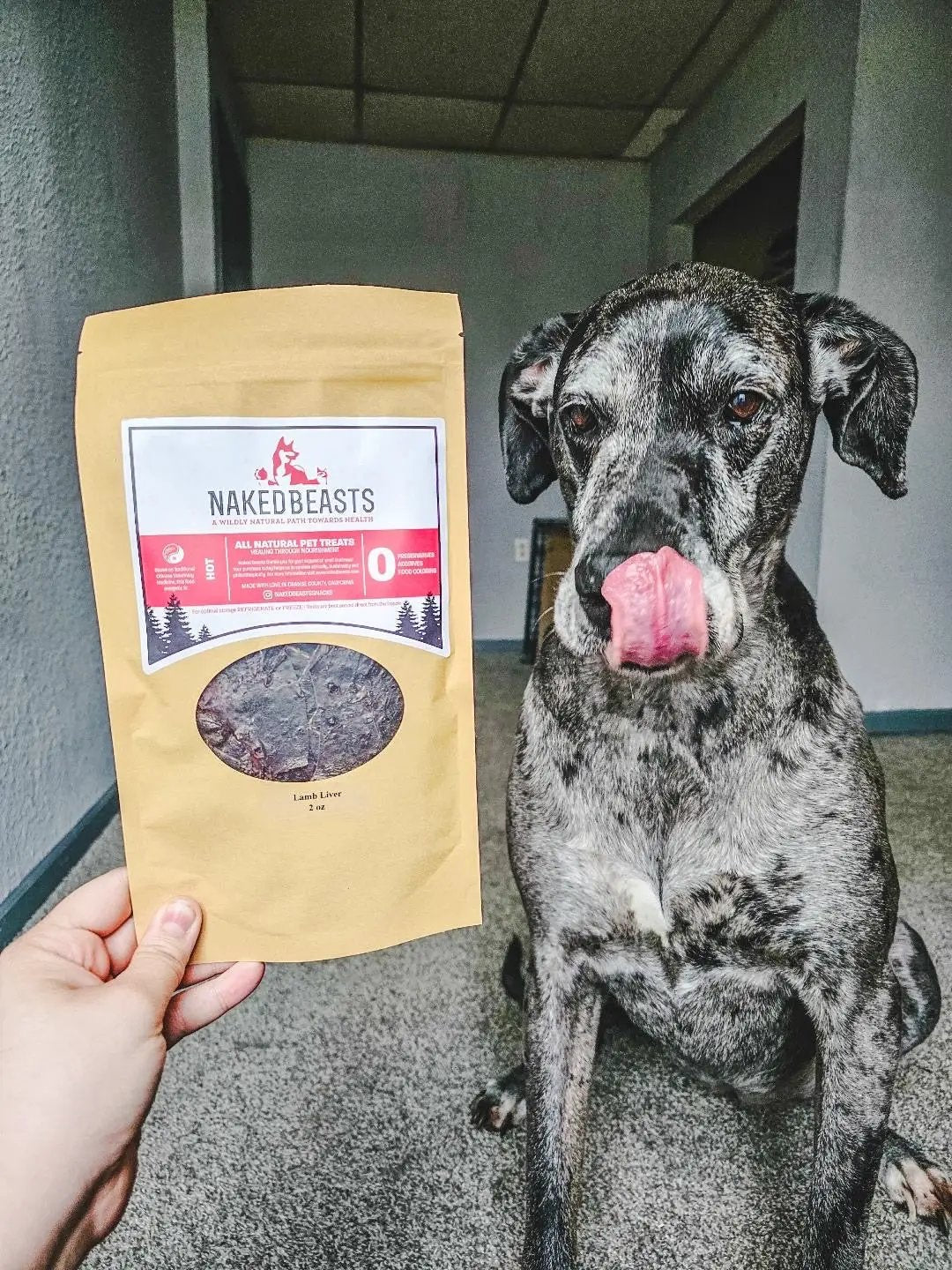 Lamb Liver Thin Cut dog treats in a kraft bag by Naked Beasts, shown next to a grey dog