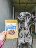 Carica l'immagine nel visualizzatore della galleria, Baby Octopus (Wild Caught) dog treats in a yellow Naked Beasts pouch
