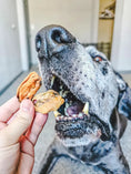 Load image into Gallery viewer, Green Lipped Mussels dog treats; two dried morsels held near a dog's open mouth
