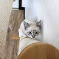 Carica l'immagine nel visualizzatore della galleria, Slanted cat scratcher for wall with beige sisal rope; cat steps & ramps.
