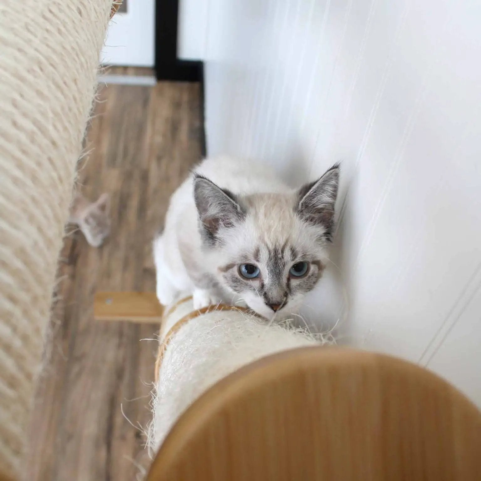 Slanted cat scratcher for wall with beige sisal rope; cat steps & ramps.