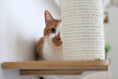 Load image into Gallery viewer, The Bunker multi-level cat condo with perch; orange and white cat peeks from behind beige sisal post on wooden shelf.
