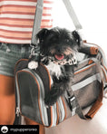 Carica l'immagine nel visualizzatore della galleria, Mr. Peanut's Gold Series V2.0 Pet Carrier, air travel approved, grey-brown soft-sided carrier with mesh panels.
