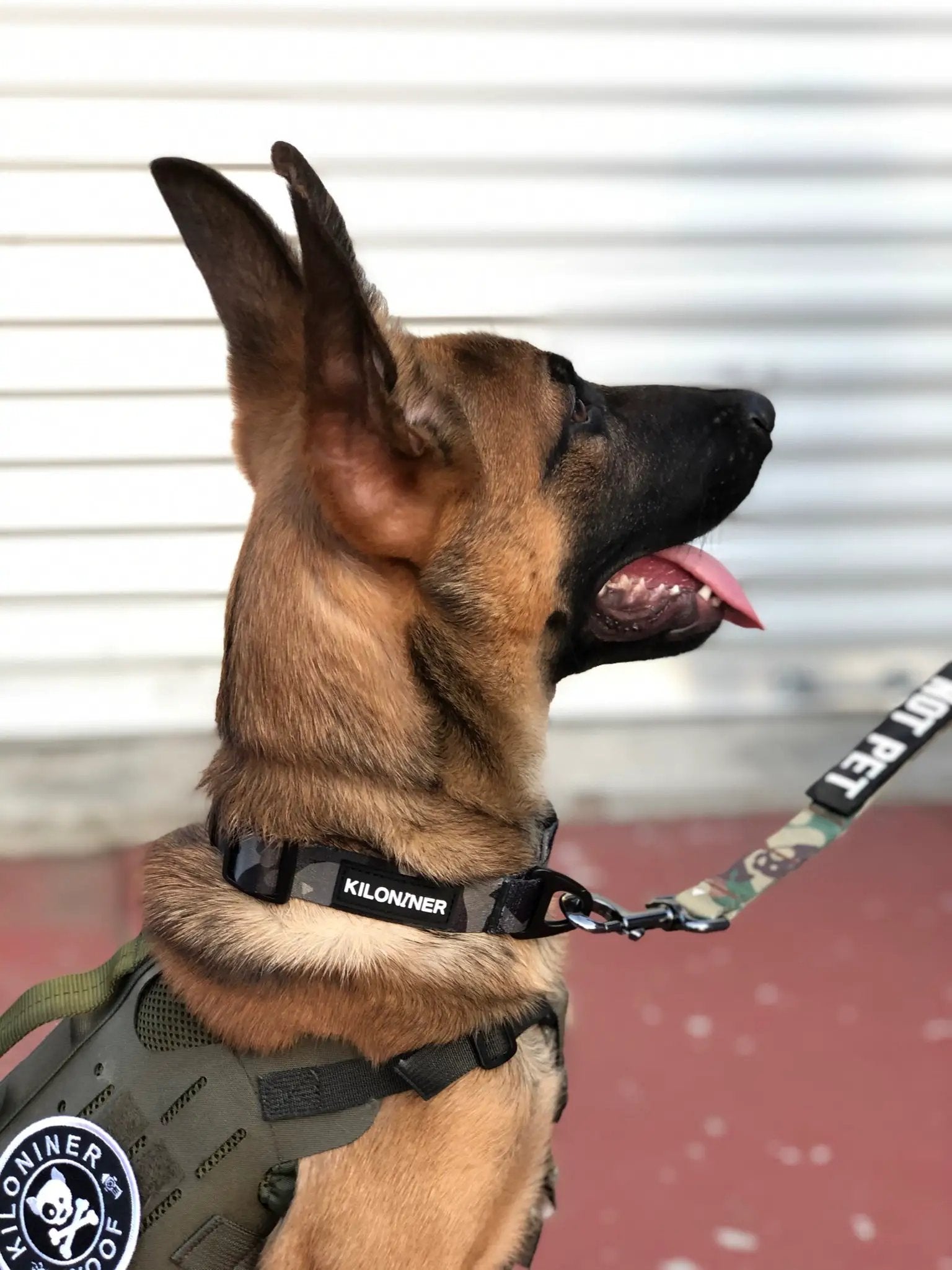 Kiloniner Strike Collar Durable 1 Inch Wide Jungle Green Camo Design by kiloninerpets