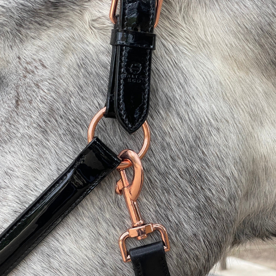 Halter Ego Aurelia Black Patent Conical Padded Horse Halter, close-up of the noseband and padding
