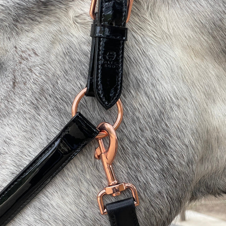 Halter Ego Aurelia Black Patent Conical Padded Horse Halter, close-up of the noseband and padding