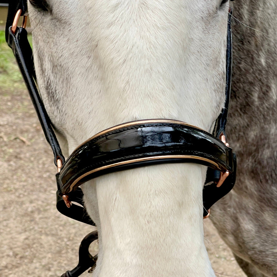 Halter Ego Aurelia Black Patent Conical Padded Horse Halter, close-up of the noseband and padding