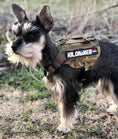 Charger l'image dans la visionneuse de la galerie, KILONINER Stars And Stripes Embroidered Morale Patch For Vest Harness by kiloninerpets
