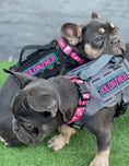 Load image into Gallery viewer, Kiloniner Stencil Embroidered Dog Morale Patch
