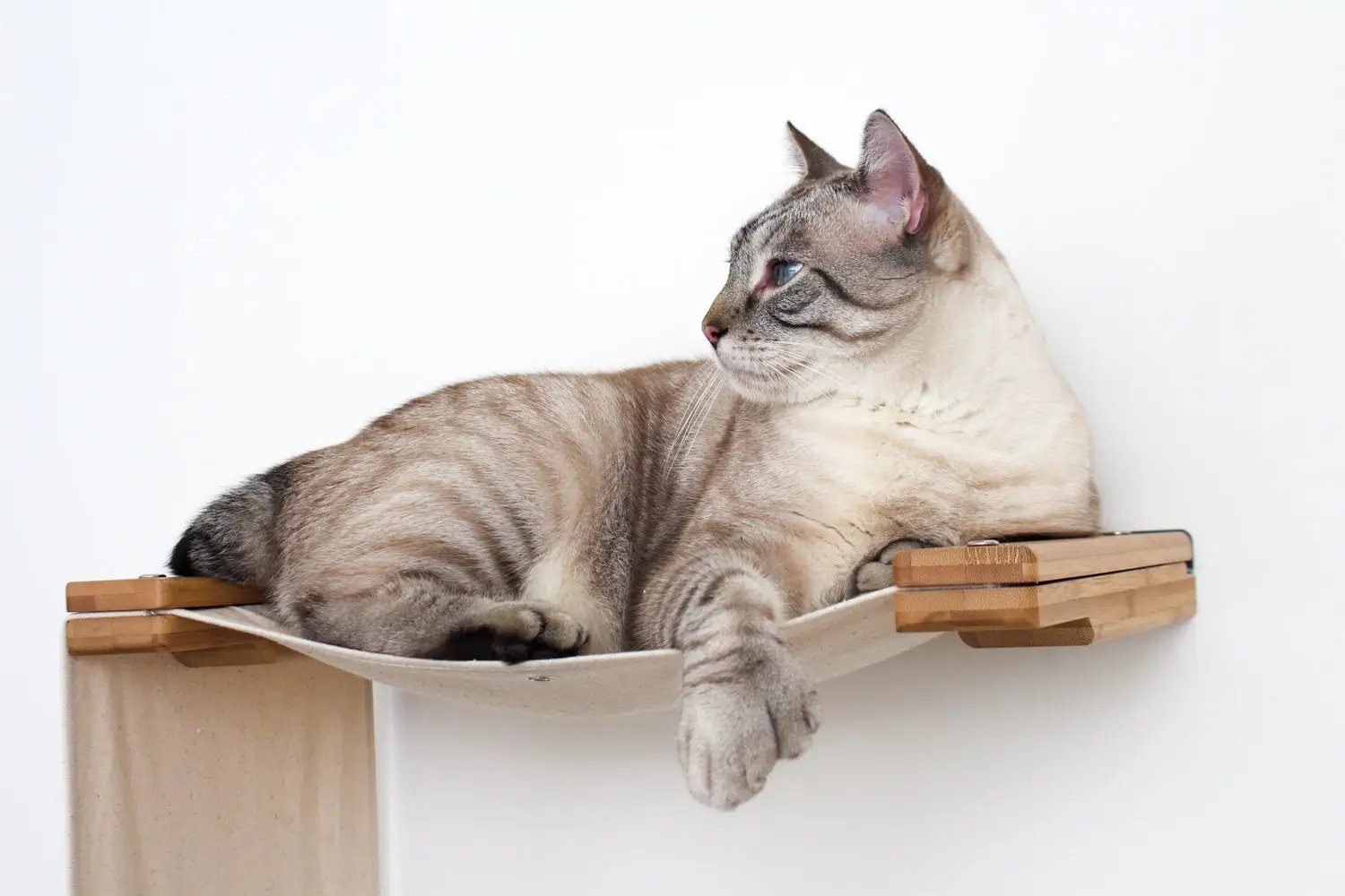 The Double Decker Cat Hanging Bed Set by Catastrophic Creations on a wooden shelf with a lounging cat.