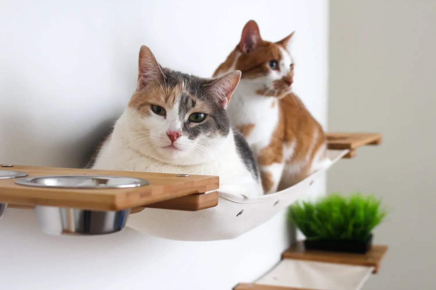 The Bunker - Multi Level Cat Tree with Perch by Catastrophic Creations; natural wood and white fabric cat condo.