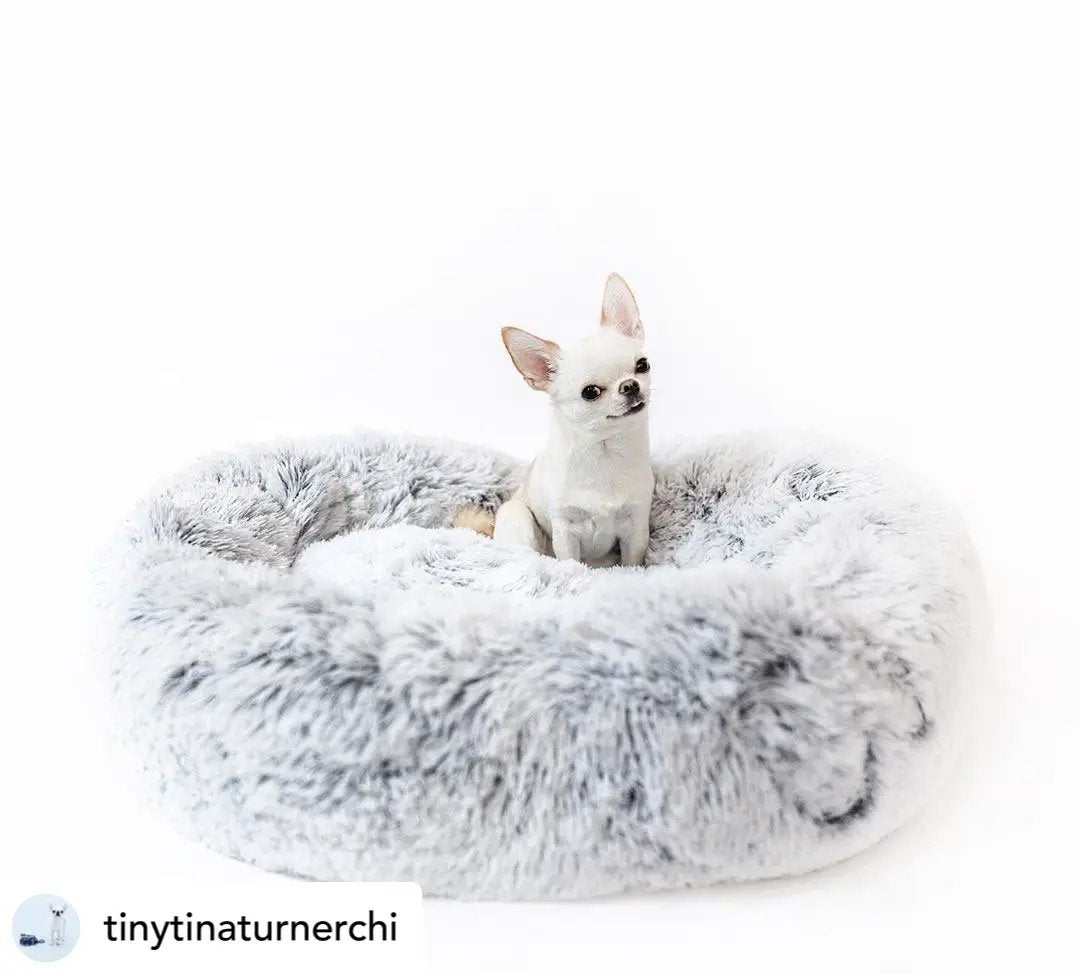 Mr. Peanut's OrthoPlush pet bed, snowflake white two-tone pillow bed, 28-inch size with a small dog inside