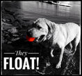 Charger l'image dans la visionneuse de la galerie, WUNDERball - Best Fetch Toy
