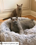 Load image into Gallery viewer, Mr. Peanut's 28-inch OrthoPlush Pet Bed snowflake white two-tone plush pillow bed with two lounging cats
