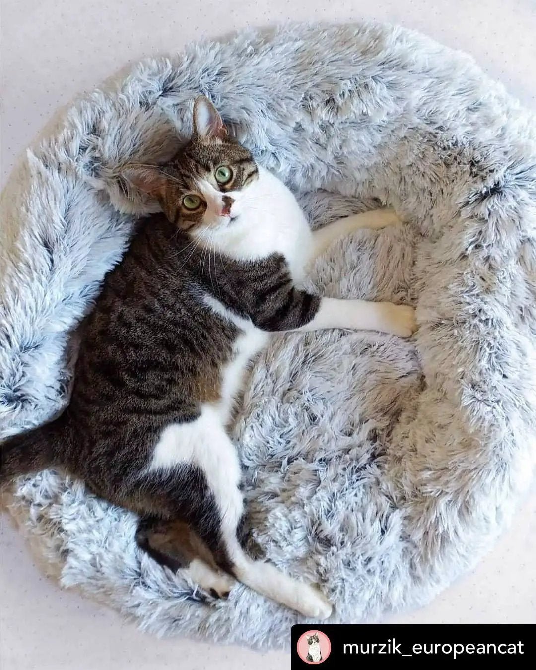 Mr. Peanut's 23-inch OrthoPlush Pet Bed in gray two-tone donut style