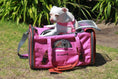 Carica l'immagine nel visualizzatore della galleria, Mr. Peanut's Gold Series V2.0 Pet Carrier pink air-travel approved carrier with white dog
