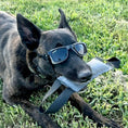 Bild in Galerie-Betrachter laden, Eye Defenders Pet Safety Goggles For Small And Medium Dogs Or Cats With Uv400 Lenses And Soft Touch Rubber Shields by kiloninerpets
