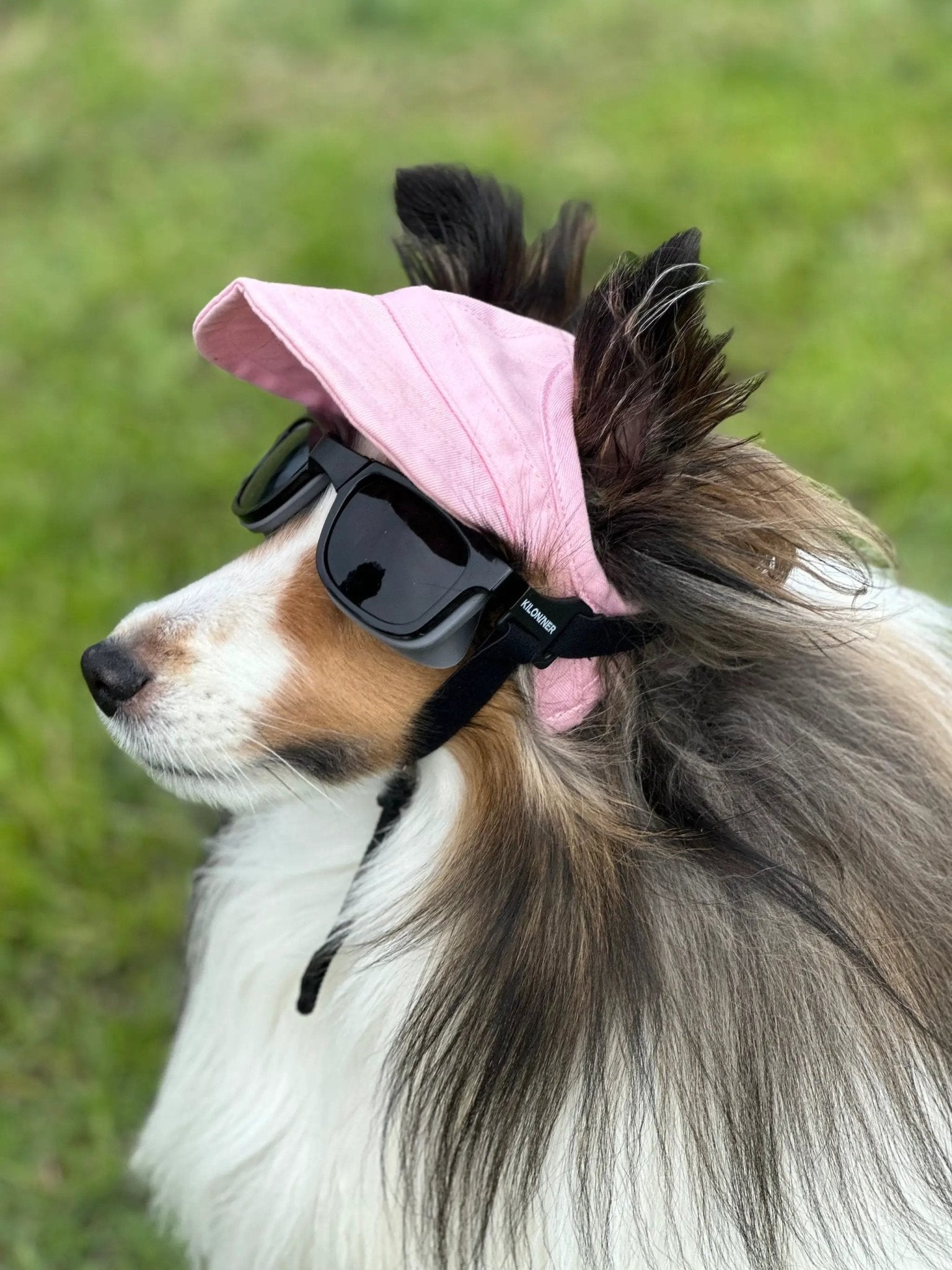 Eye Defenders Pet Safety Goggles For Small And Medium Dogs Or Cats With Uv400 Lenses And Soft Touch Rubber Shields by kiloninerpets