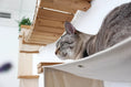 Charger l'image dans la visionneuse de la galerie, The Temple - Giant Cat Tree on Wall Cat Condo; natural wood platforms with a beige fabric hammock and a resting cat.
