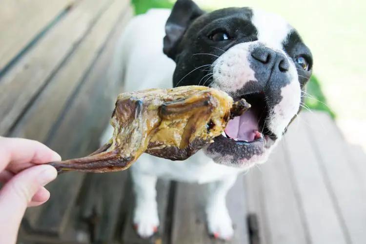 Whole quails (bone-in), brown cooked meat on the bone.