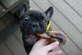 Load image into Gallery viewer, Duck Heads ABF dog chew; black French bulldog biting it.
