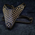 Carica l'immagine nel visualizzatore della galleria, Bestia Gladiator 4mm Italian Leather Harness Gold Silver Large by Bestia Dog Gear
