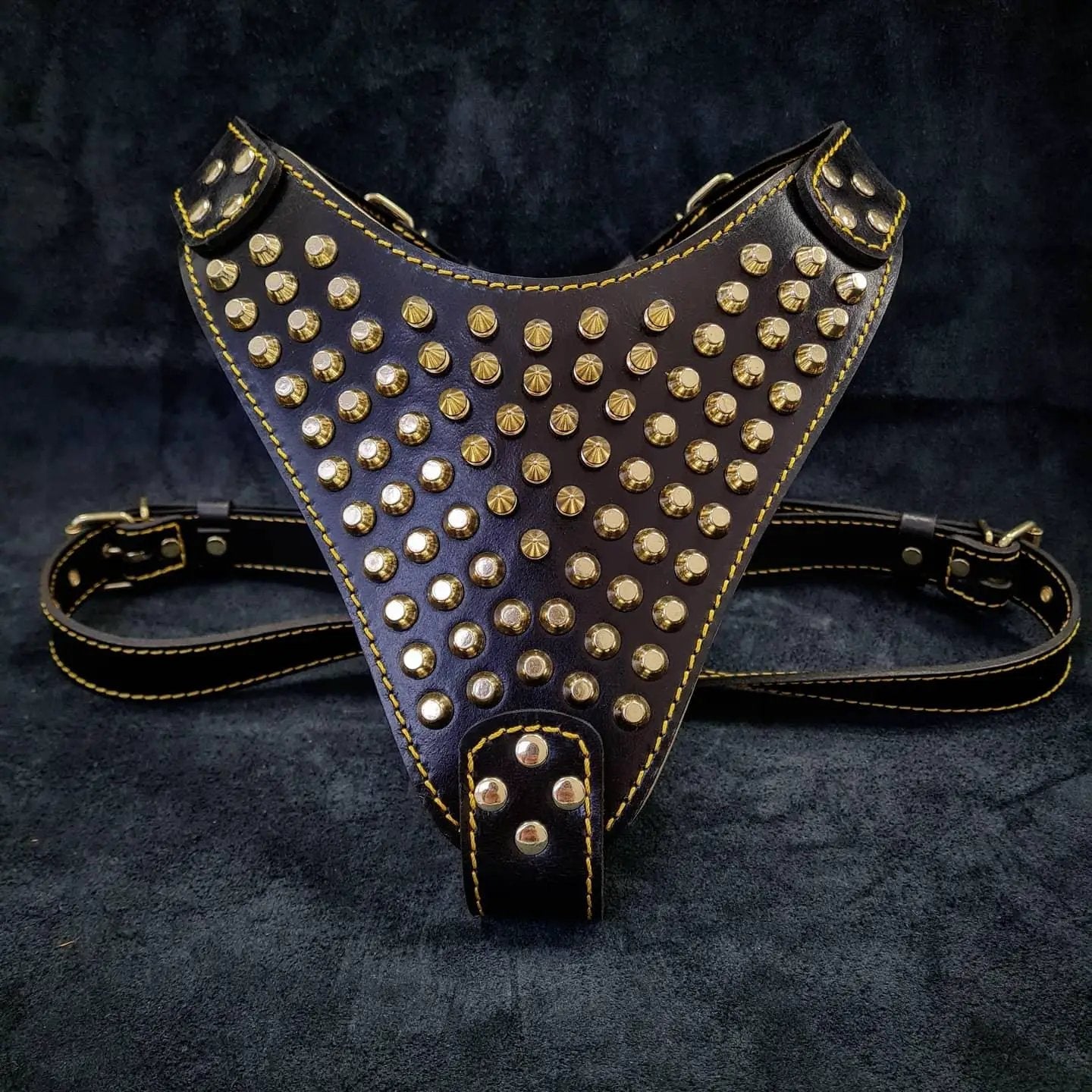 Bestia Gladiator 4mm Italian Leather Harness Gold Silver Large by Bestia Dog Gear