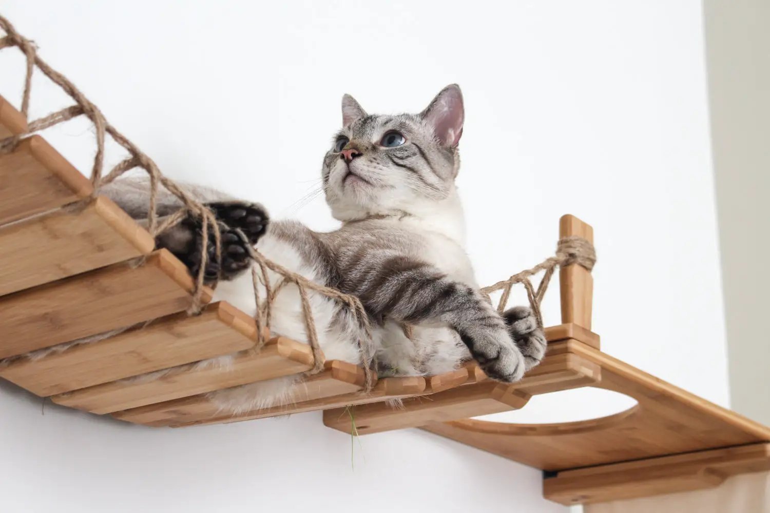 The Temple giant cat tree on wall cat condo by Catastrophic Creations with rope-wrapped wooden platforms.