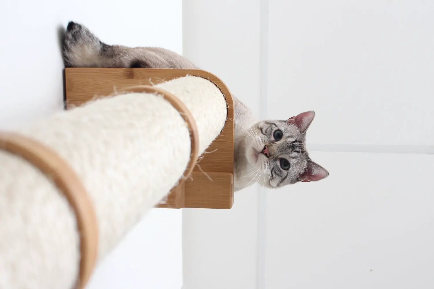 Wall-mounted cat climbing pole with sisal by Catastrophic Creations; wooden mount, gray tabby cat peeking.