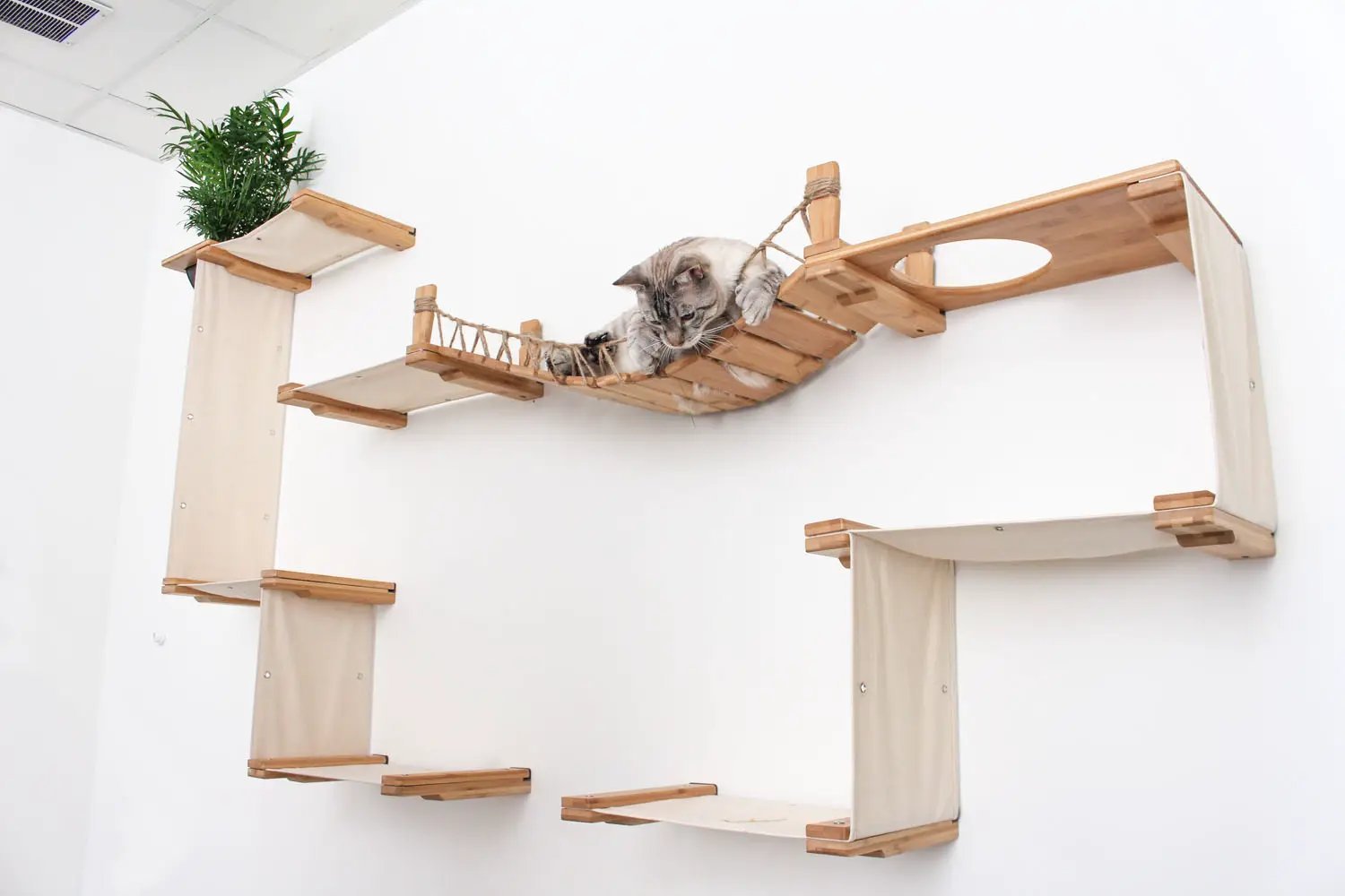 The Temple Giant Cat Tree on Wall, wall-mounted cat condo with natural wood and beige fabric panels; cat on rope bridge.