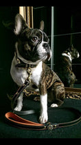 Gallery viewerに画像を読み込む, 'Bijou'' leather lead orange - Pet Leashes from Bestia Dog Gear
