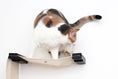 Carica l'immagine nel visualizzatore della galleria, The Play Wall System Cat Condo; beige fabric strap with black clamps and a calico cat.
