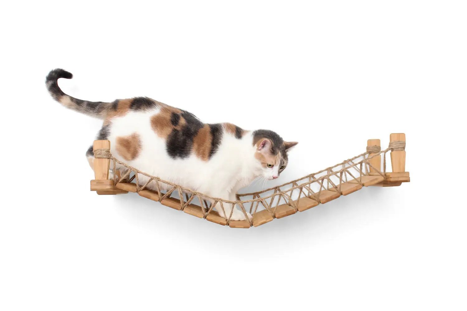 Cat Bridge for Wall cat perch in natural wood and rope, featuring a calico cat.