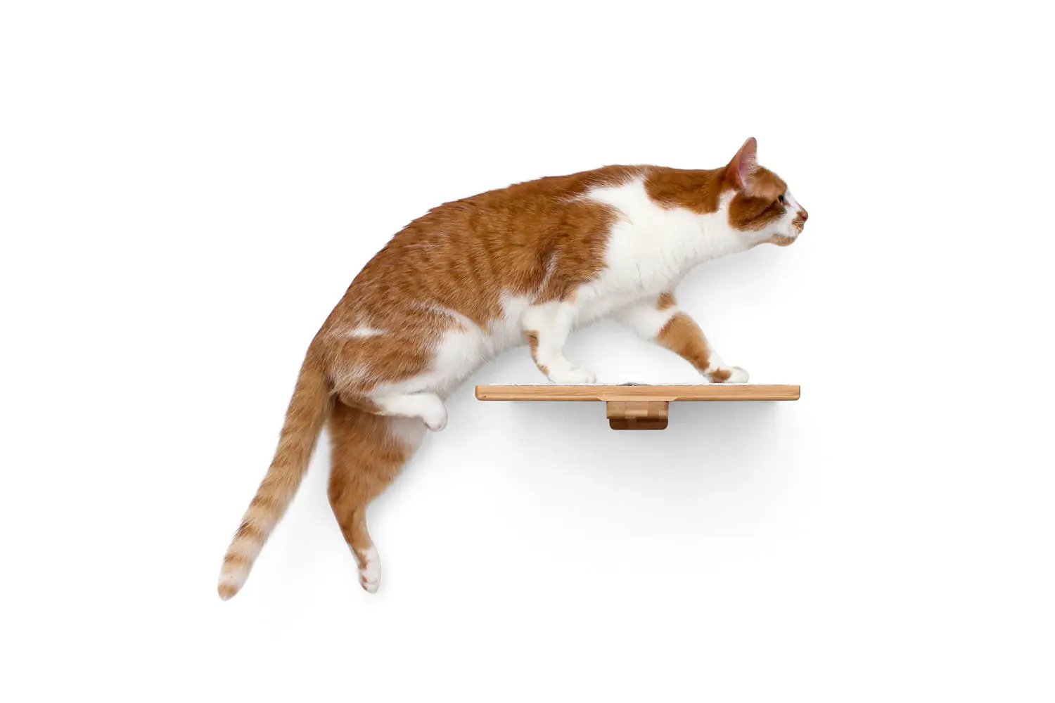 Cat Perch - Wall Mounted and Wooden, natural wood finish cat shelf.
