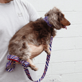 Load image into Gallery viewer, Game Day Collar
