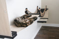 Bild in Galerie-Betrachter laden, The Canyon cat condo by Catastrophic Creations with white base and rope bridge; tabby lounging.
