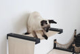 Bild in Galerie-Betrachter laden, The Canyon cat condo by Catastrophic Creations, beige canvas platform with black supports; blue-eyed Siamese cat.
