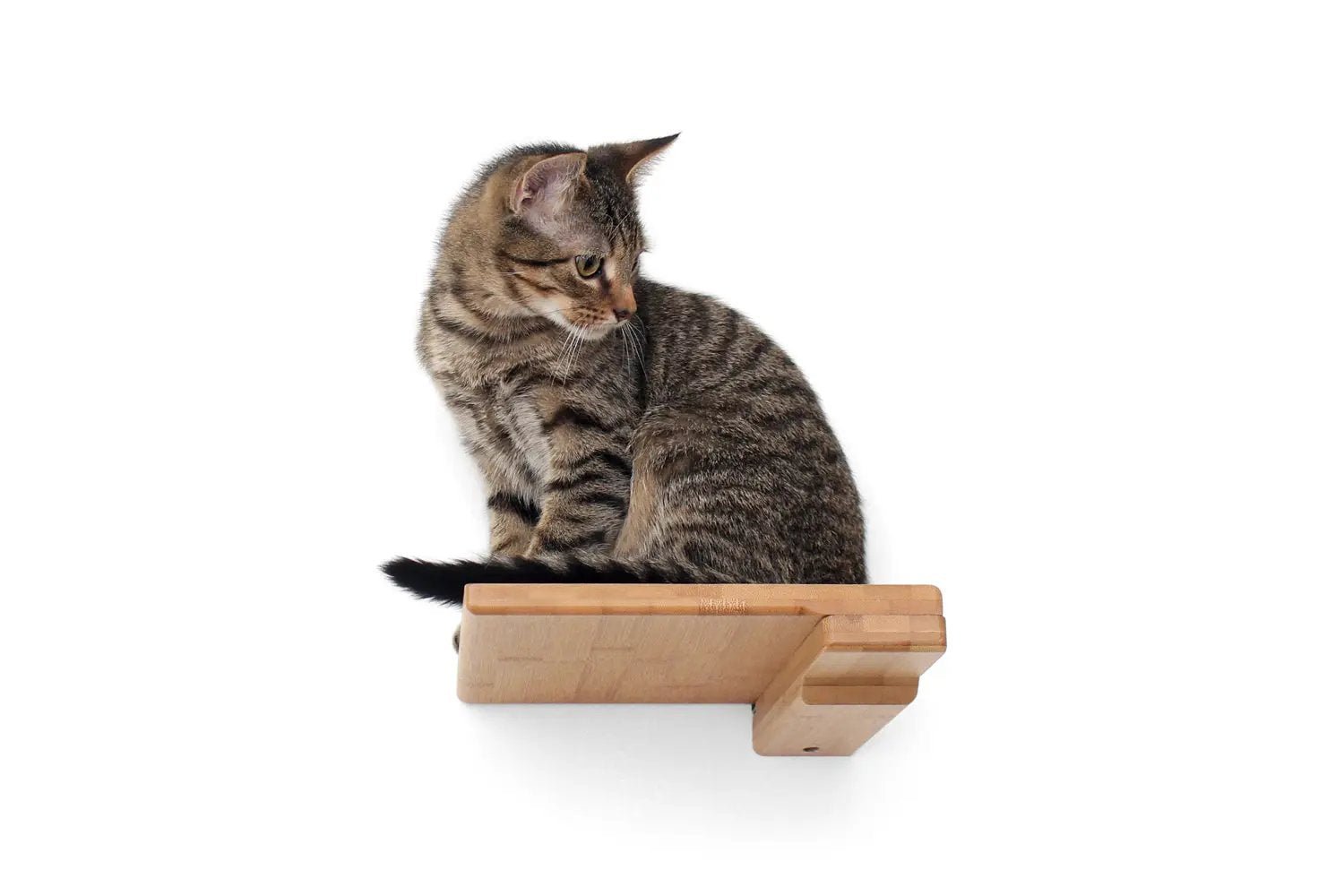 Cat Climbing Shelf; wooden cat steps by Catastrophic Creations